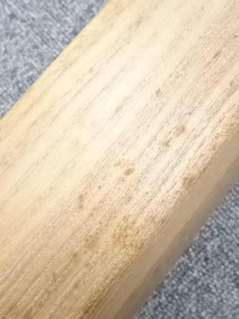 道具 ] - 道具 西村五雲筆 椿小禽図 肉筆絹本掛軸（西村卓三箱書・二